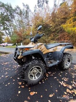 Buyang delta Force 300 - 4x4