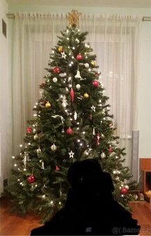 Vánoční stromeček