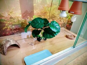 Terárium pro suchozemskou želvu