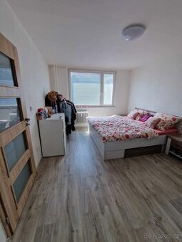 Pronájem bytu 2+1 Mohelnice