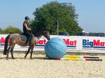 Hodná ponička pro děti na procházky, hipoterapii