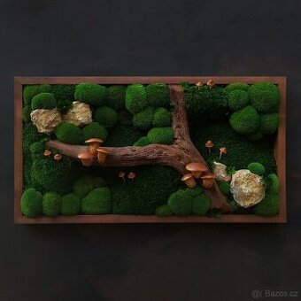 Mechový obraz / obraz ze stabilizovaného mechu