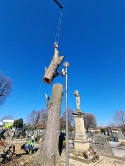 Profesionální péče o stromy a zeleň - OKzelen.cz