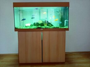 Akvárium Juwel Rio 180 litrů + stolek + ryby