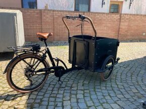 Elektro Cargo kolo, tříkolo, rikša