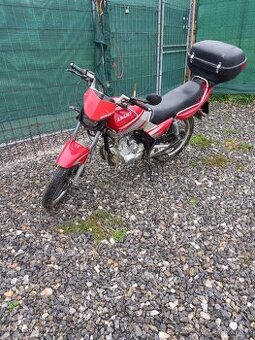 Adams 125 - 1
