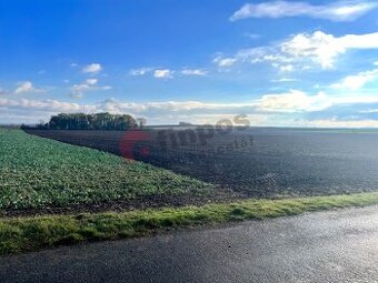 Prodej pozemku v Přezleticích - 6499 m2 - 1