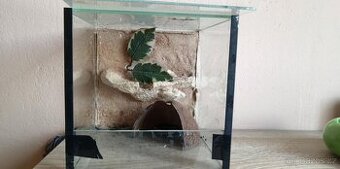 terarium s 3d stenou - 1