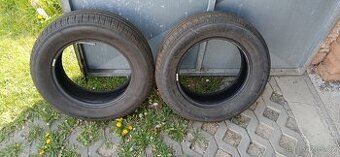 Prodám dvě krásné