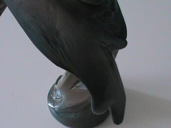 porcelanovej papousek
