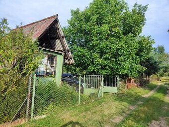 Zahrada v Lounech