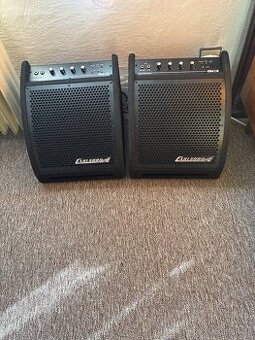 Prodam carlsbro odposlech