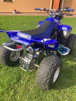 Yamaha warrior yfm 350