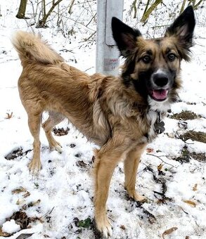 Úžasná Mia hledá domov - 1