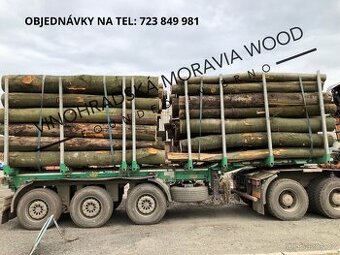 PALIV.DŘEVO BUK ODVOZNÍ SOUPRAVA 45PRM ZNOJMO