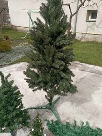 Umělé vánoční stromky - 1