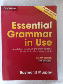 Essential Grammar in Use (anglicky) - 1