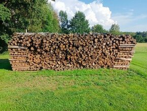 Dřevo na palivo