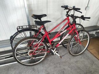 Dámské jízdní kolo Newcomb a Viacycles