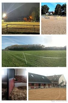 Ustajeni Neratovice - Mlekojedy