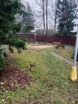 Pronájem bytu 2+1 - 1