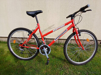 MTB SPEED horské dámské/dívčí kolo