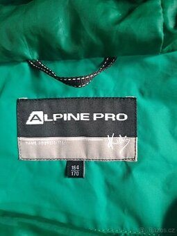 Vesta Alpine Pro - 1