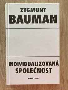 Individualizovaná společnost - 1