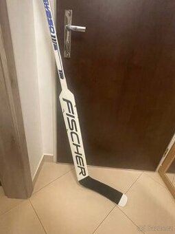 Brankářská výstroj