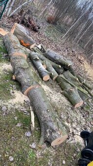 Levné palivové dřevo k vlastnímu odvozu 2.5 prm cena 3000,-