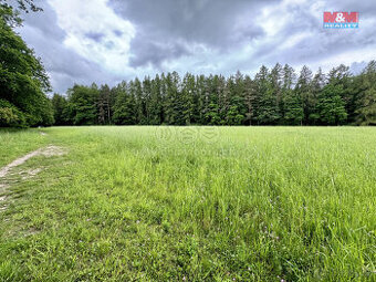Prodej louky, 11239 m², Svojetice