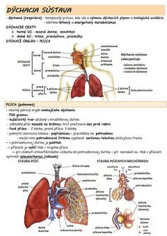 KOMPLET na přijímačky medicína UPOL Olomouc