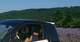 Střešní spojler Smart ForTwo 450