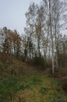 Pozemek Zahrada Investice