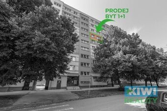 Prodej, byt 1+1, Ostrava-Hrabůvka, ul. Horní, ev.č. 1545