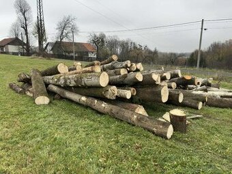 Palivové dřevo (měkké)