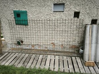 Kari síť KH 30 (100x100 drát 6,0)