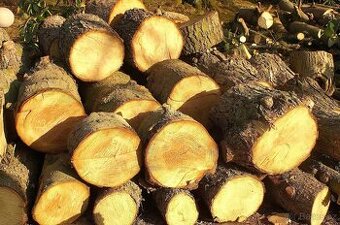 Palivové dřevo,dříví,všechny druhy AKCE SUCHÉ