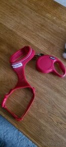 Vodítko + letní a zimní postroj