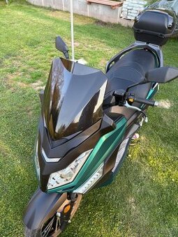 Taro Maximus 125