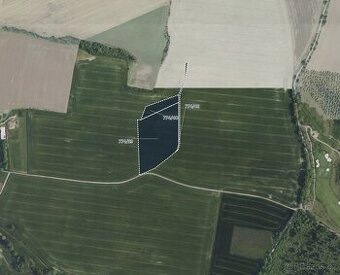 Zemědělská půda, prodej, Čenětice, Křížkový Újezdec, Praha v - 1