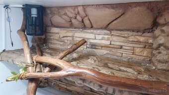 Plně vybavené terarium 124x80x85 (d-h-v)