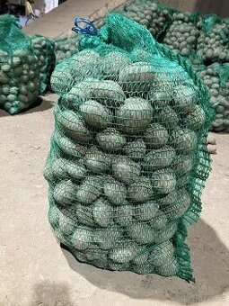 Brambory k uskladnění