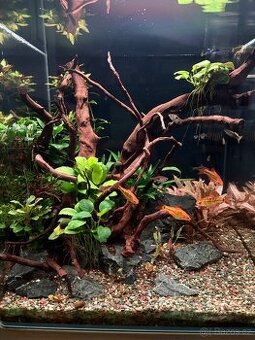 Akvarium Aquael 70L - 1