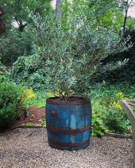 Dřevěný sud na výrobu květináče