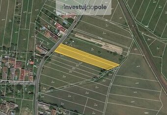Prodej pole v k.ú. Domoslavice
