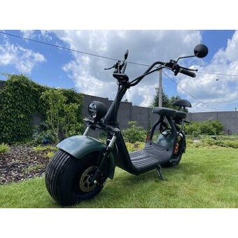 Lerascooters C1+, 1500W, zelená