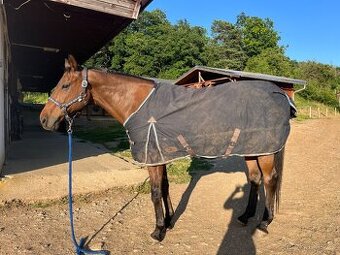 Zimní výběhová deka Harry ´s horse