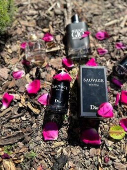 Dior Sauvage EDP 100ml - 1