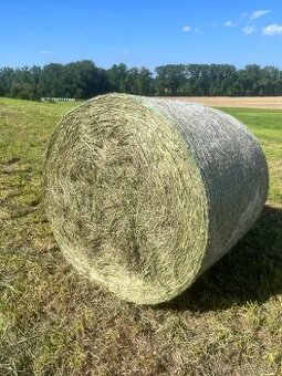 Seno, sláma, suchá/mokrá senáž, ječmen, oves